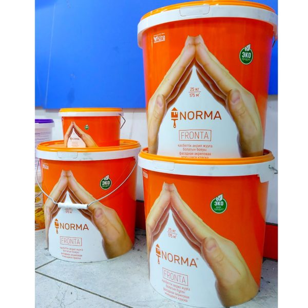 Фасадная акриловая моющаяся краска Alina